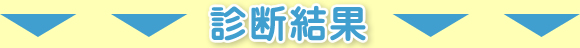 診断結果