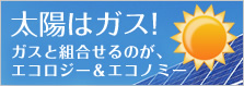 ガスと組合せるのが、エコロジー＆エコノミー